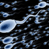 Sperma